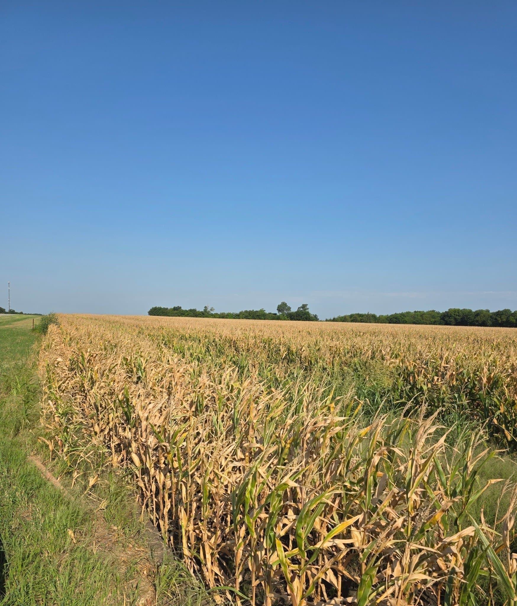 35.2 acres in Fannin County
