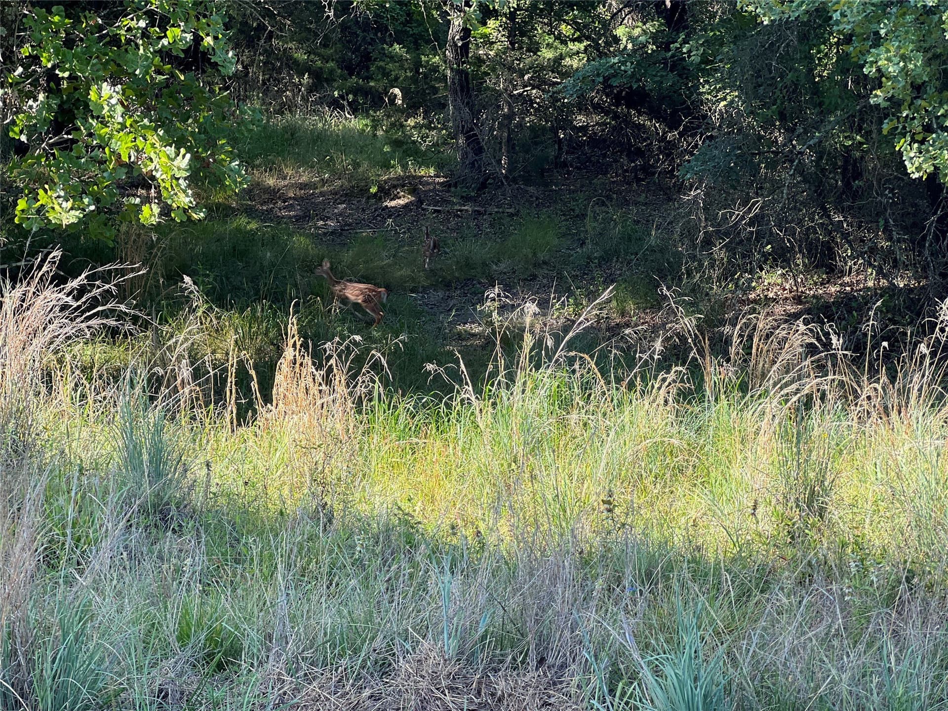 0.55 acres in Montague County