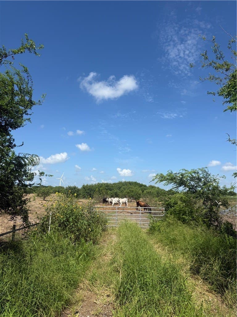 12.42 acres in San Patricio County