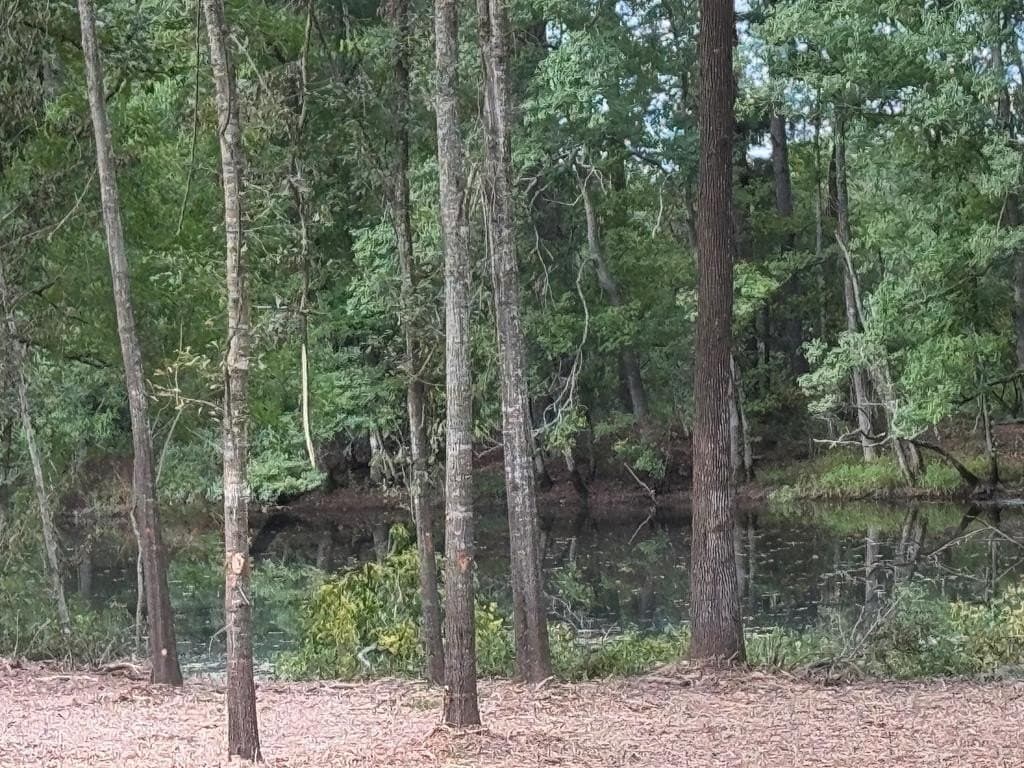 10.33 acres in Texas County
