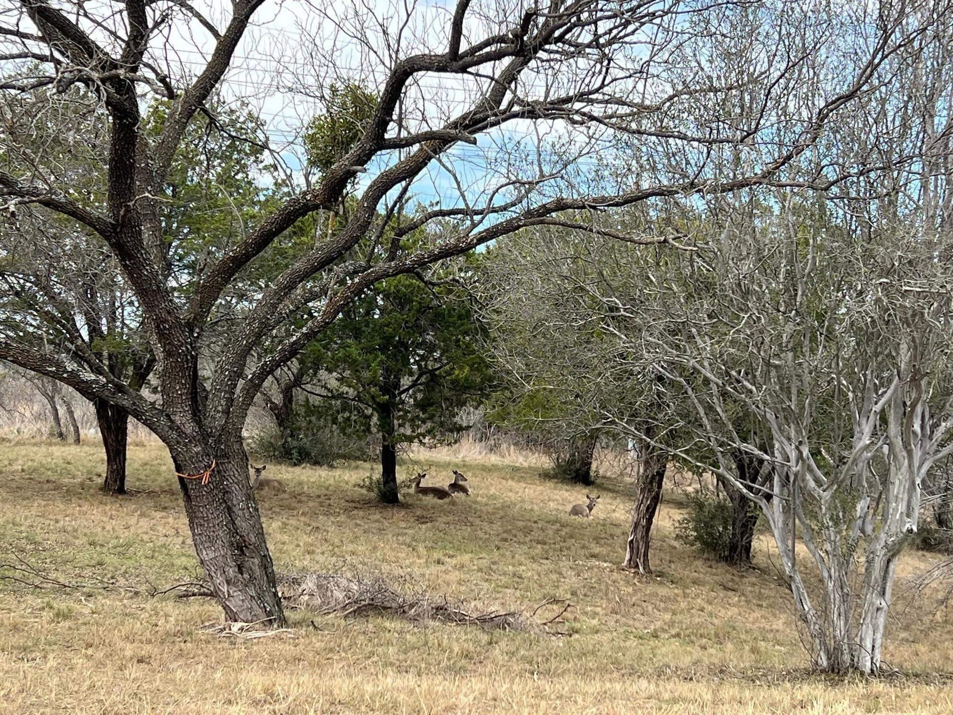 0.32 acres in Llano County