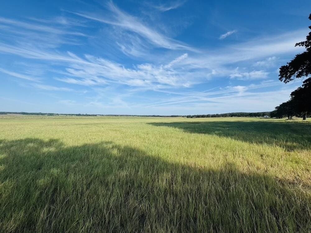 55 acres in Gillespie County
