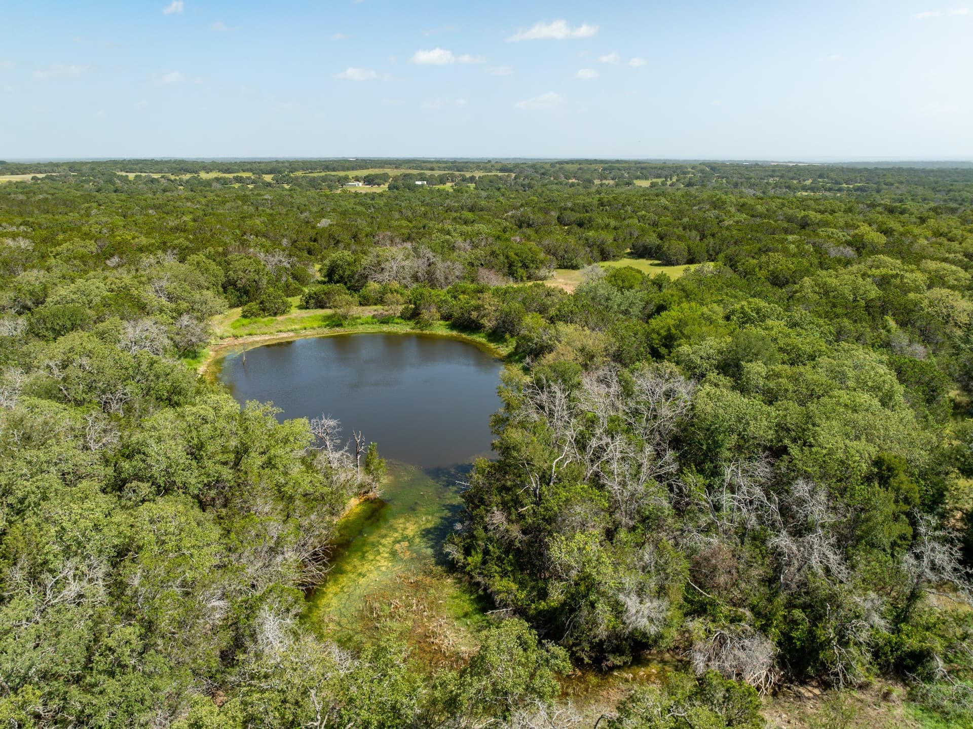 129.81 acres in Coryell County