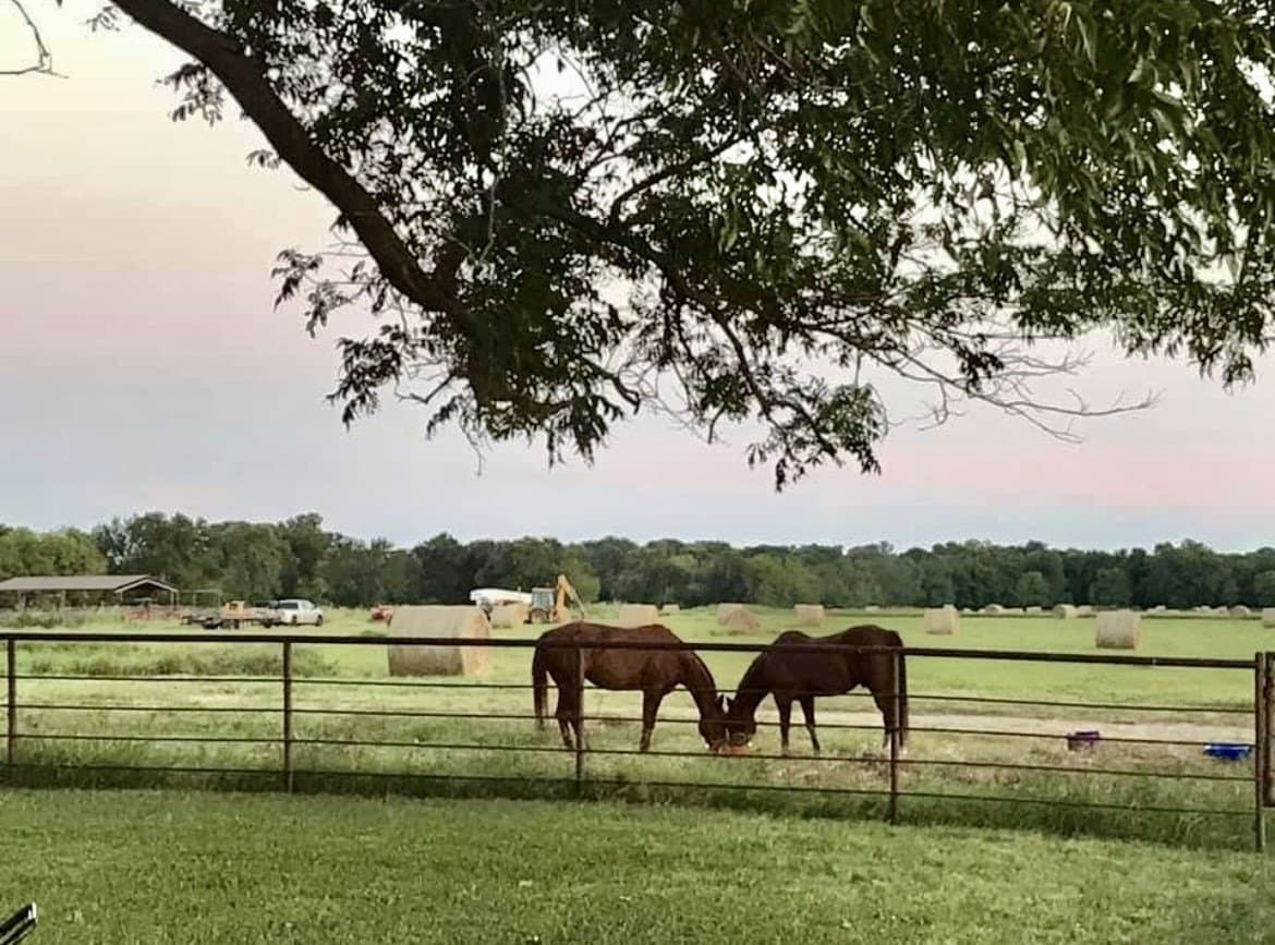330 acres in Delta County