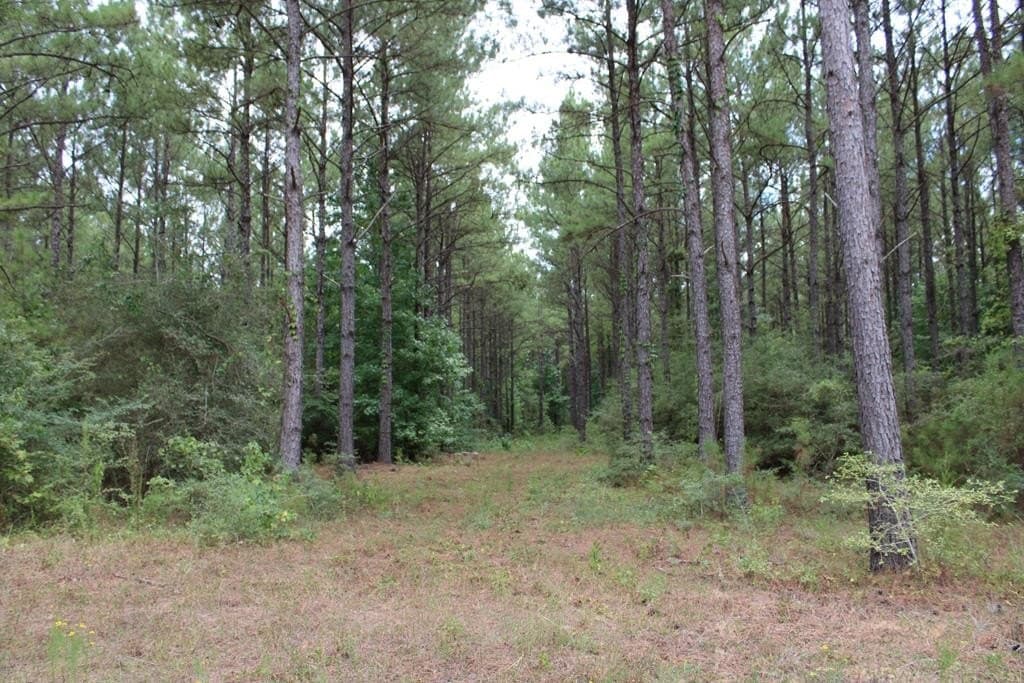 429.13 acres in Texas County