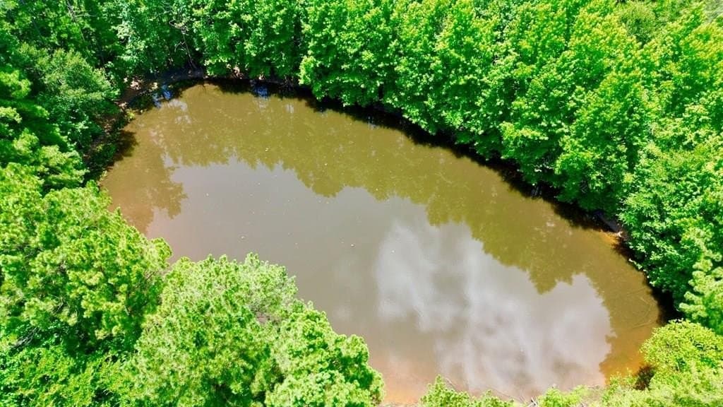 12.54 acres in Texas County