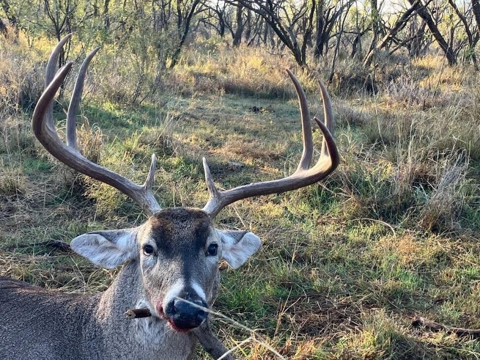 398.83 acres in Fisher County