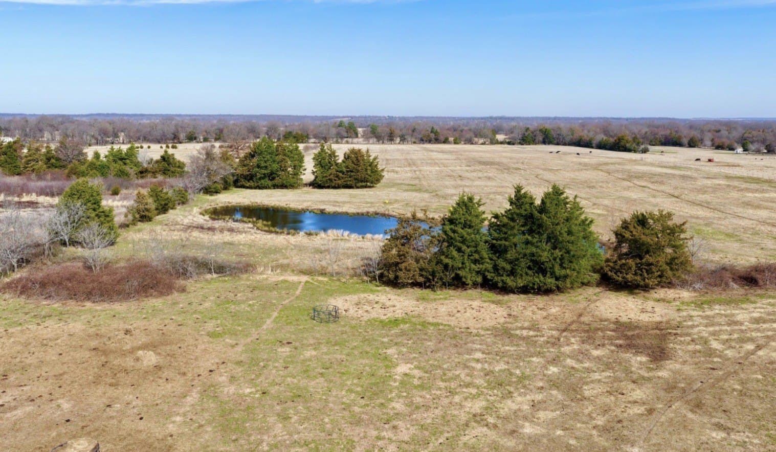 25 acres in Lamar County