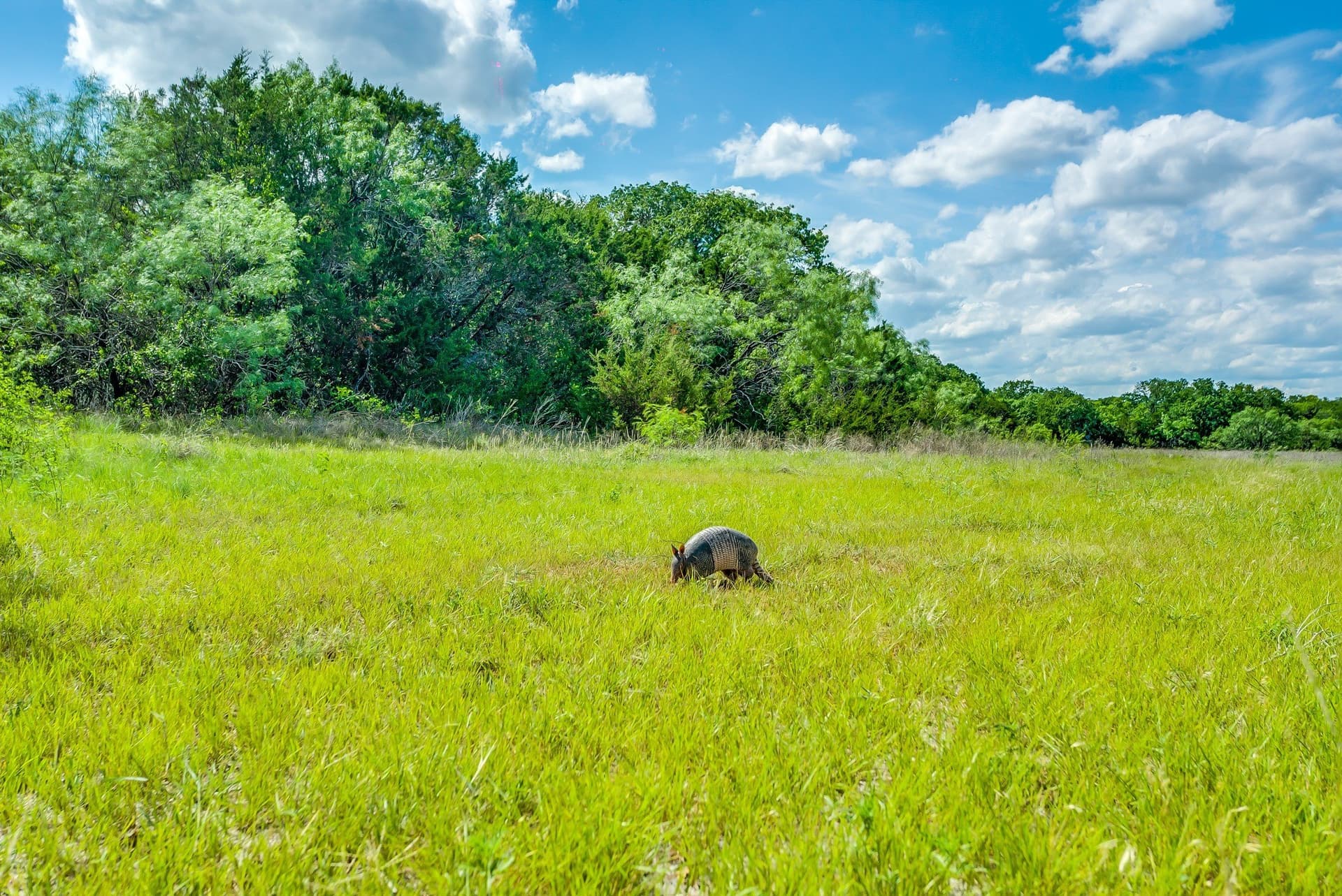 86.17 acres in Erath County