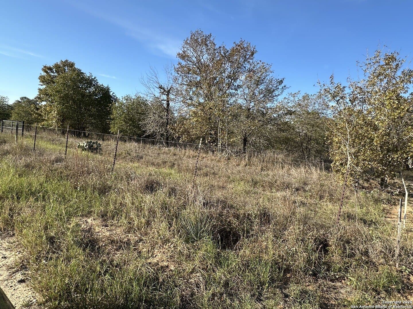 4.98 acres in Atascosa County