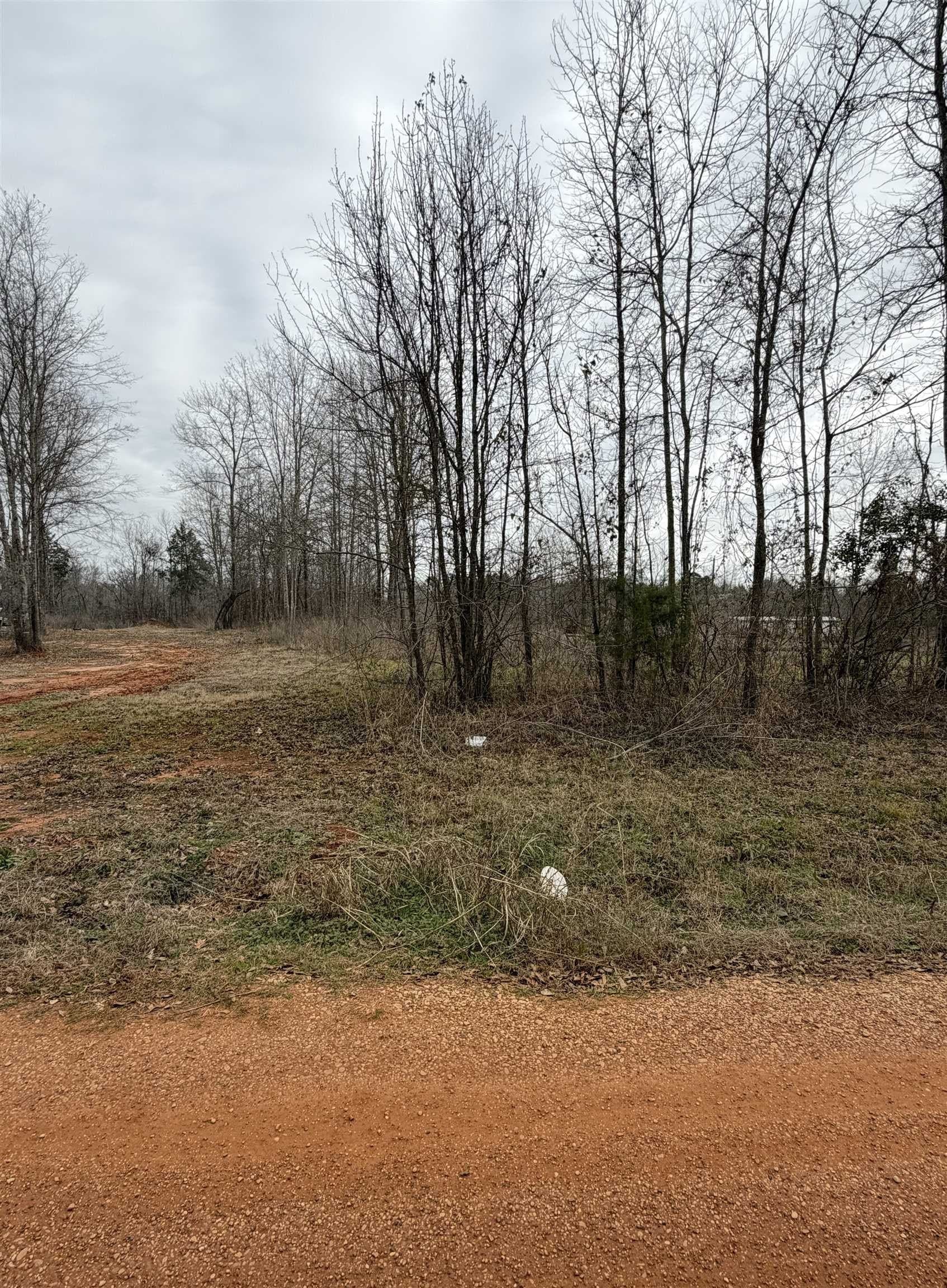 1.25 acres in Texas County