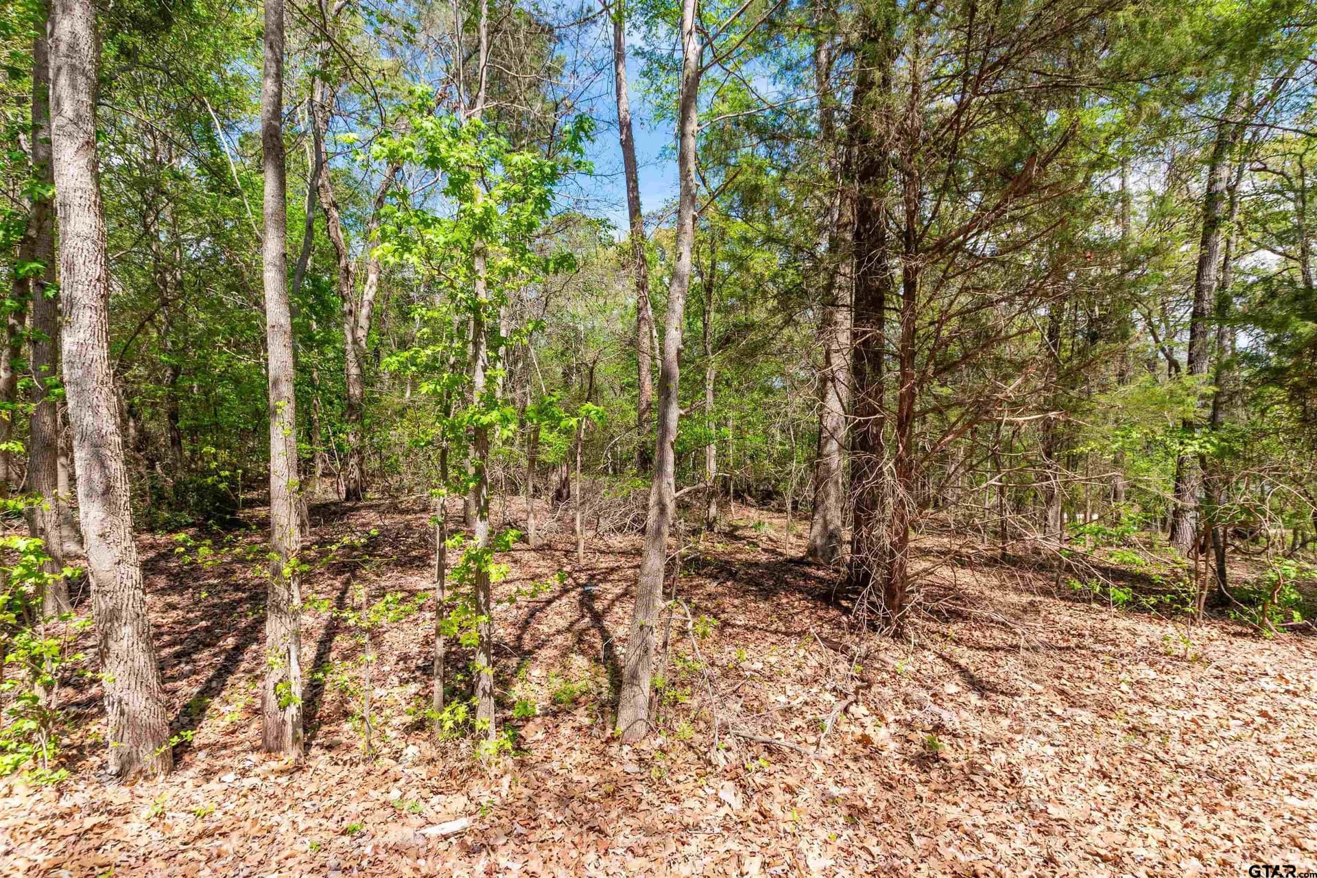1.5 acres in Smith County