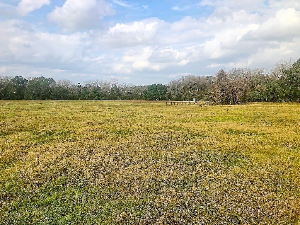 38 acres in Lavaca County