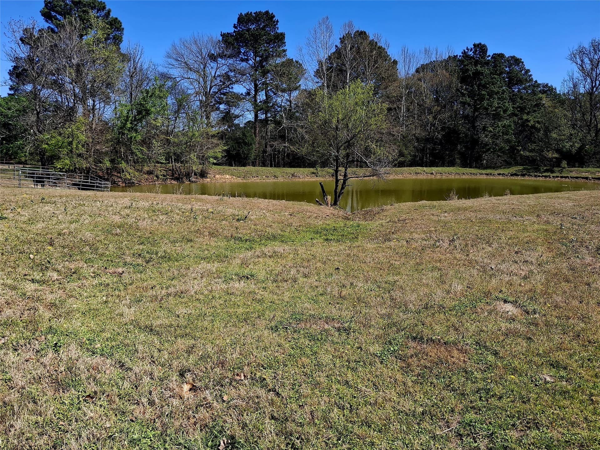 68.82 acres in Cherokee County