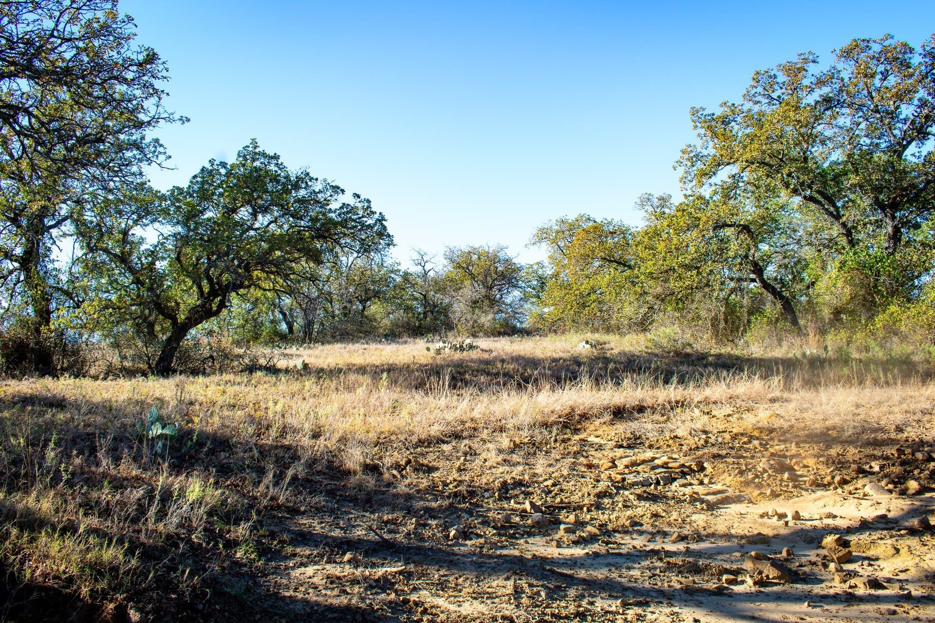 38.83 acres in San Saba County