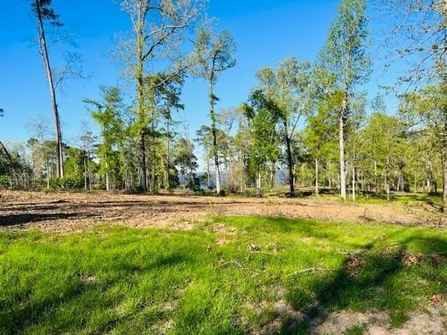 1.18 acres in Texas County