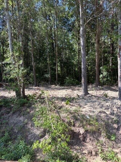 0.32 acres in Texas County