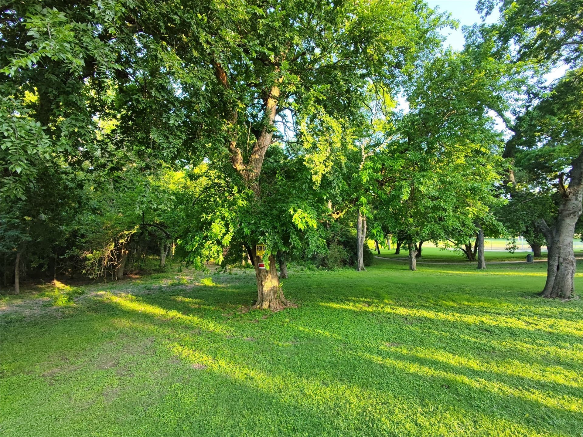 2.5 acres in Dallas County
