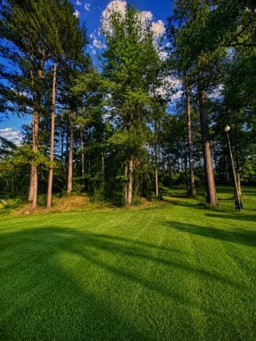 0.61 acres in Texas County