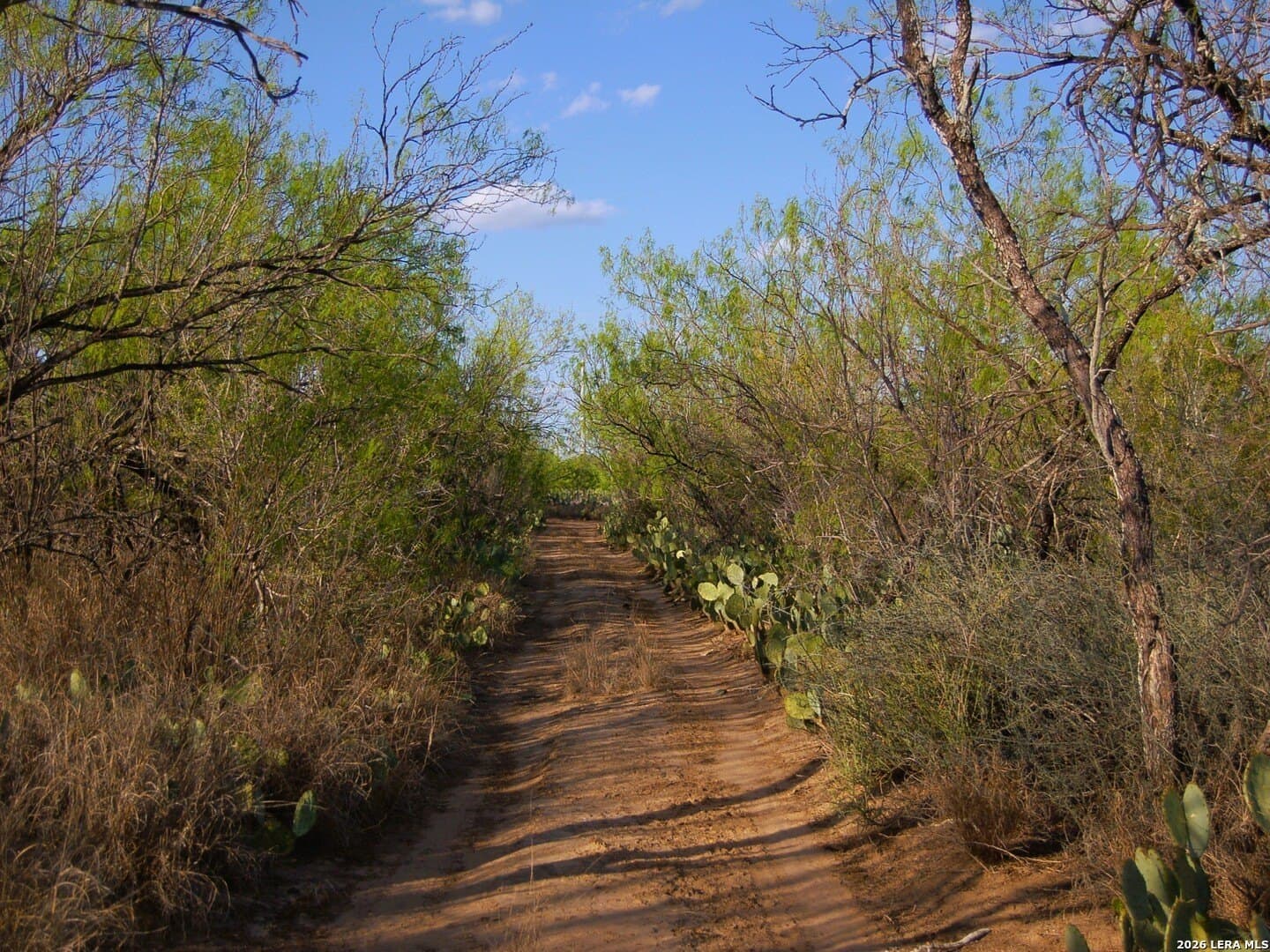 27.76 acres in Dimmit County