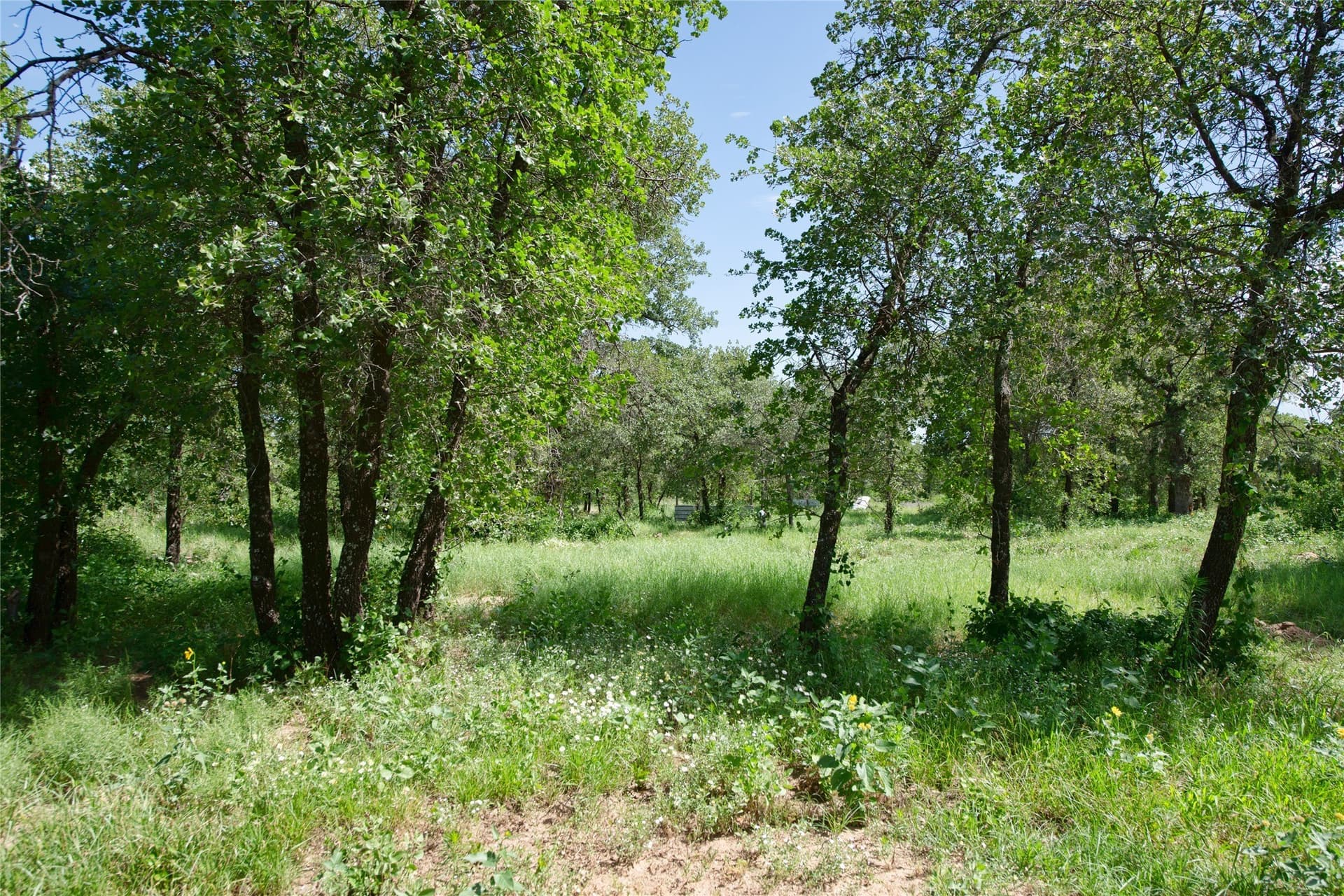 20.32 acres in Jones County