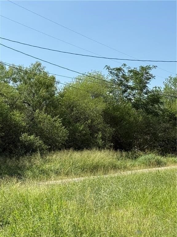 0.16 acres in Jim Wells County