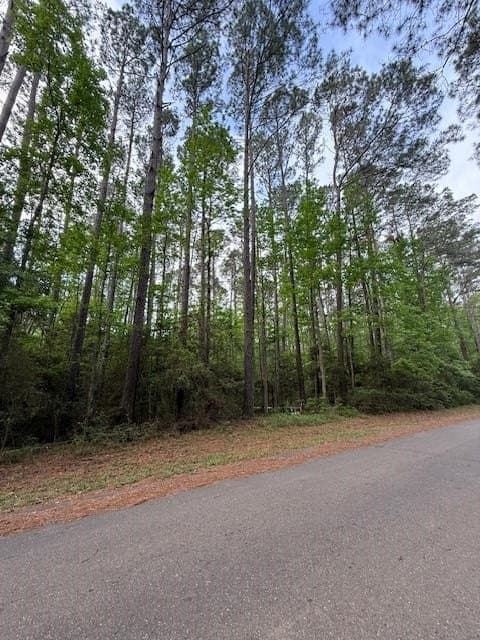 0.28 acres in Texas County