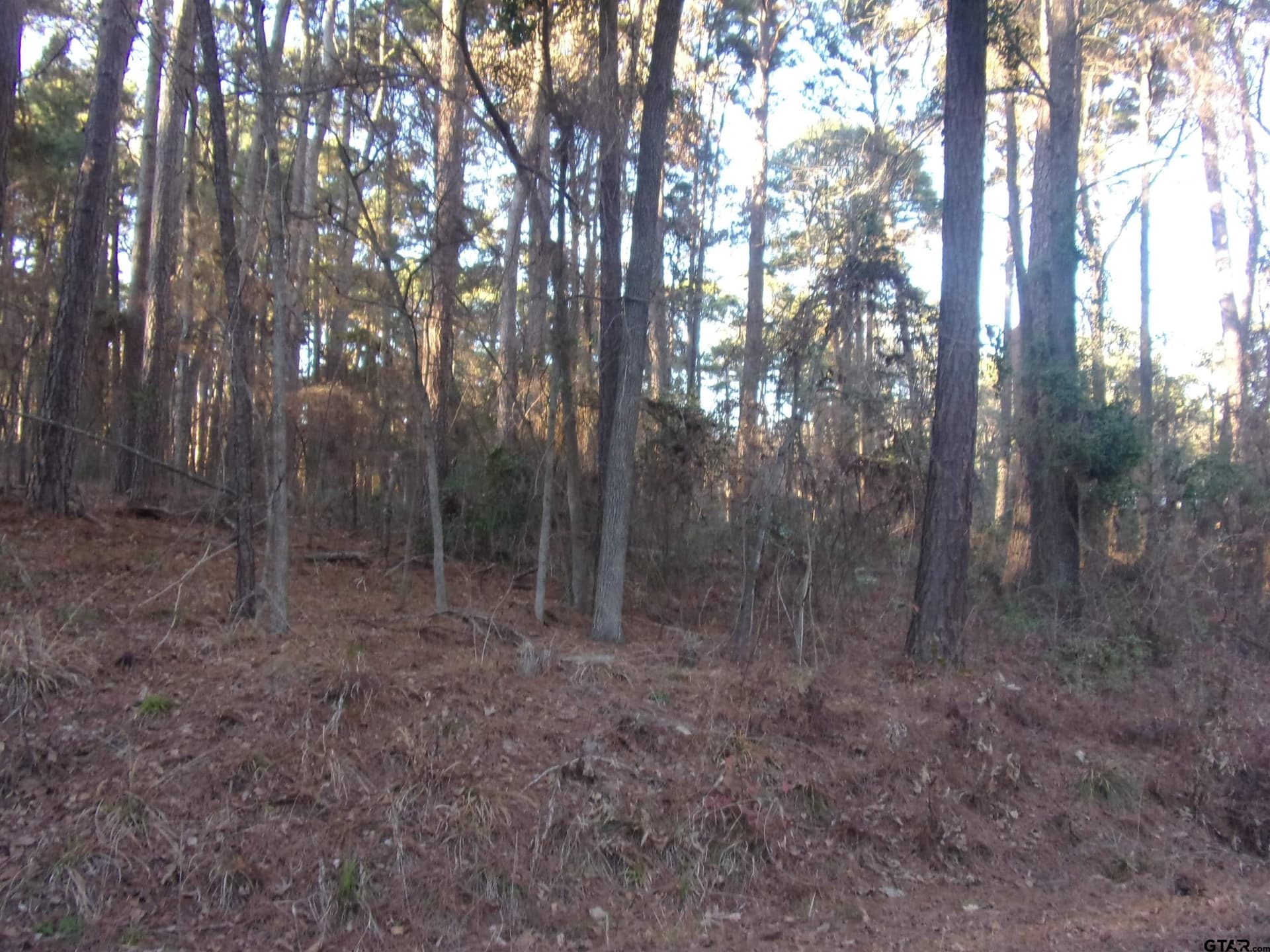 0.22 acres in Smith County