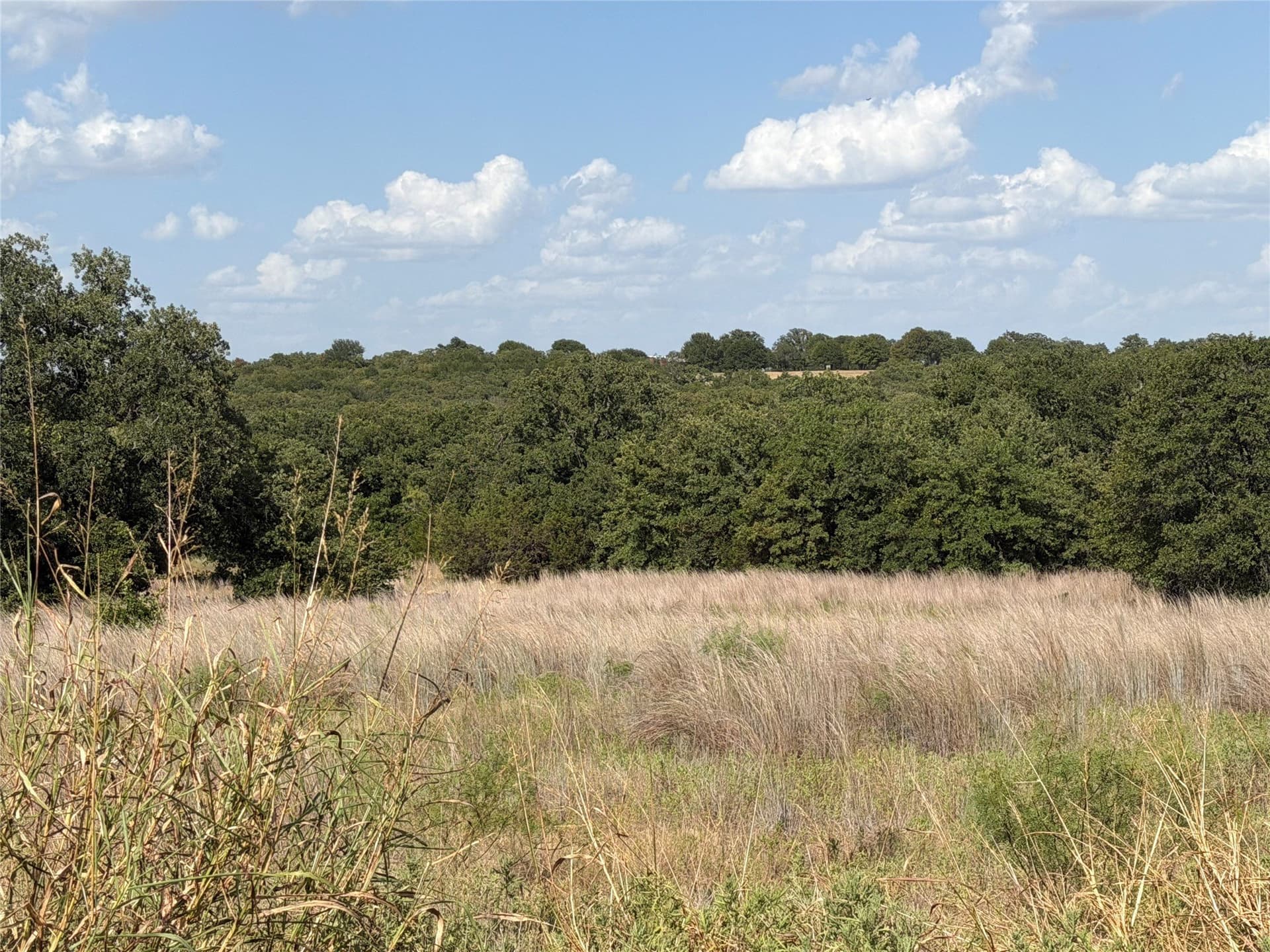 5.77 acres in Jack County
