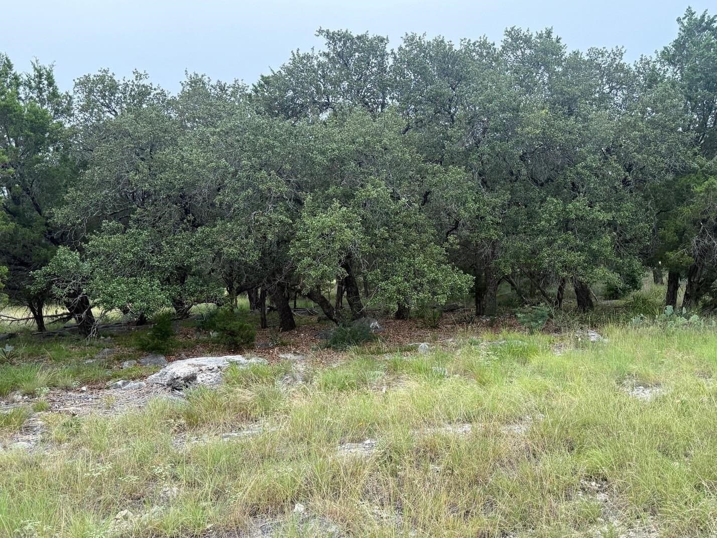 0.25 acres in Llano County