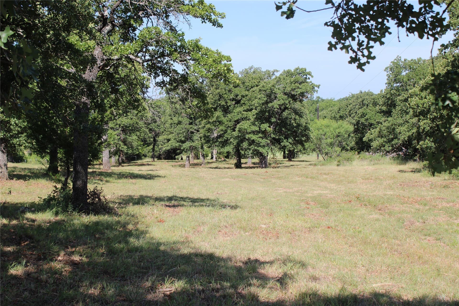 12 acres in Wise County