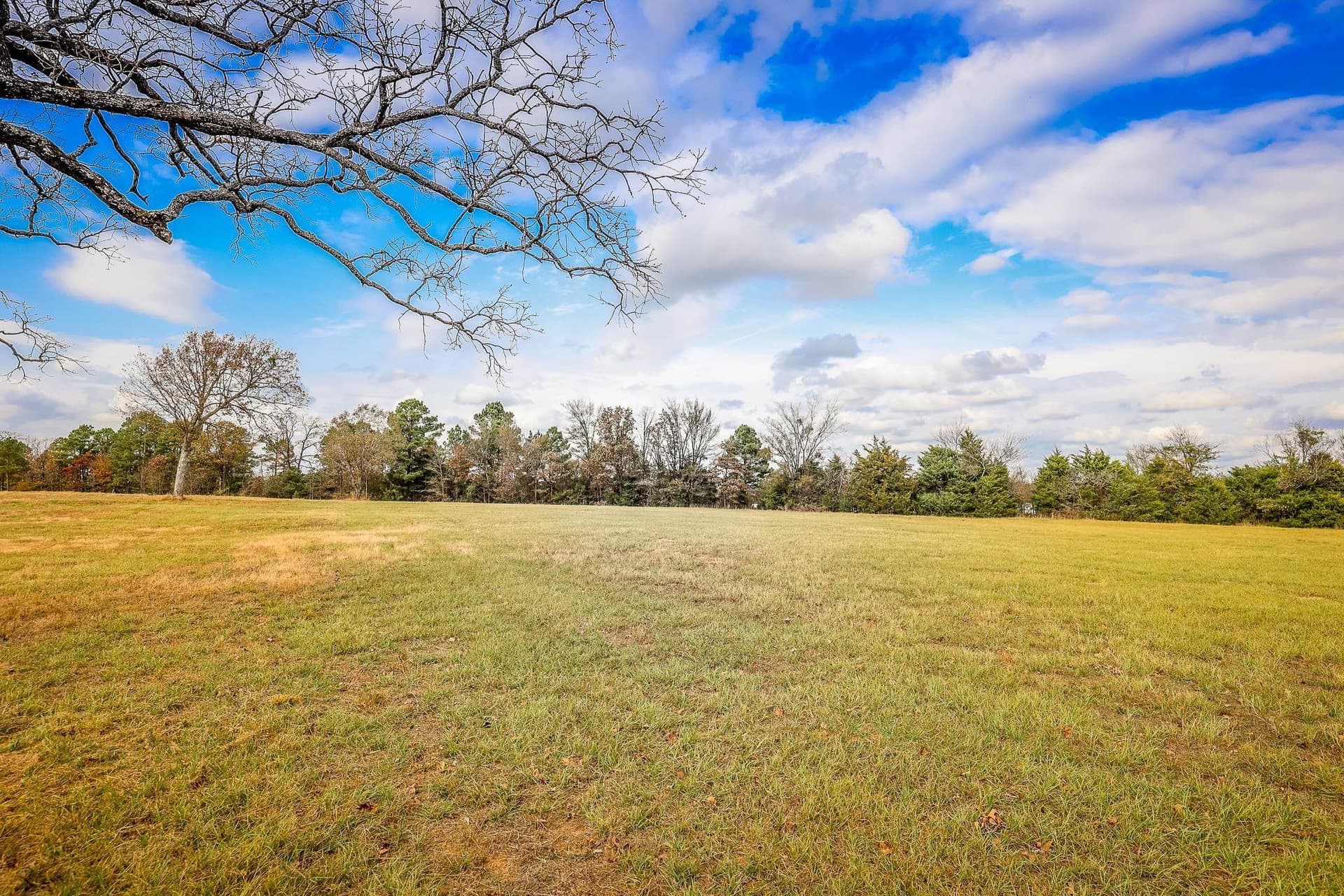 20 acres in Smith County