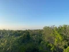 45.15 acres in Calhoun County