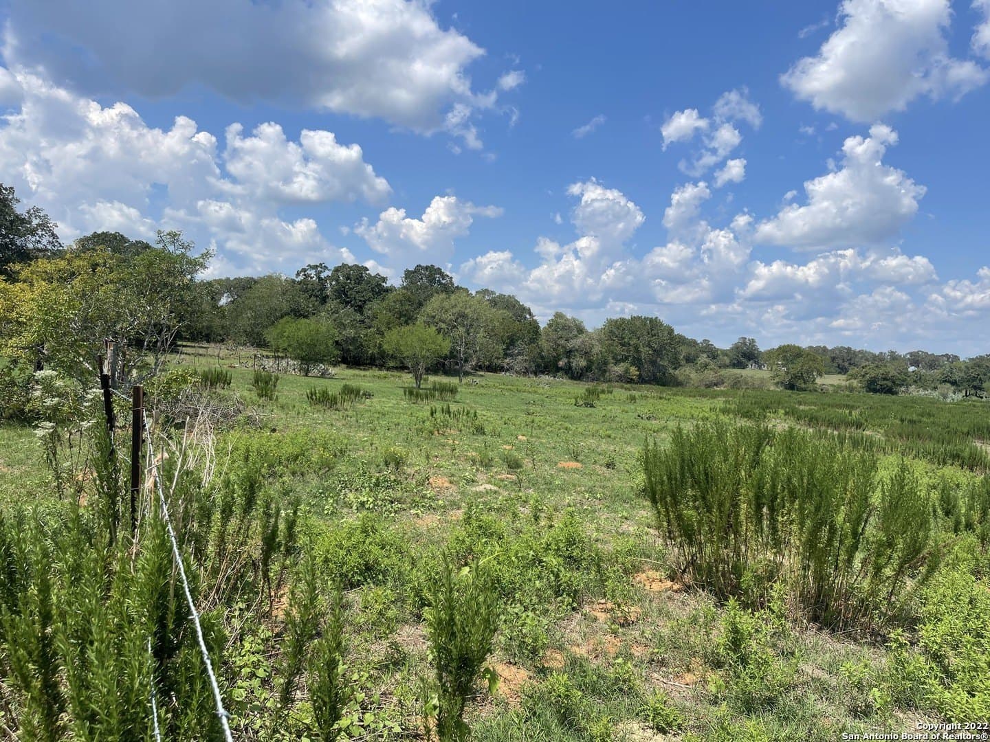 11 acres in Wilson County