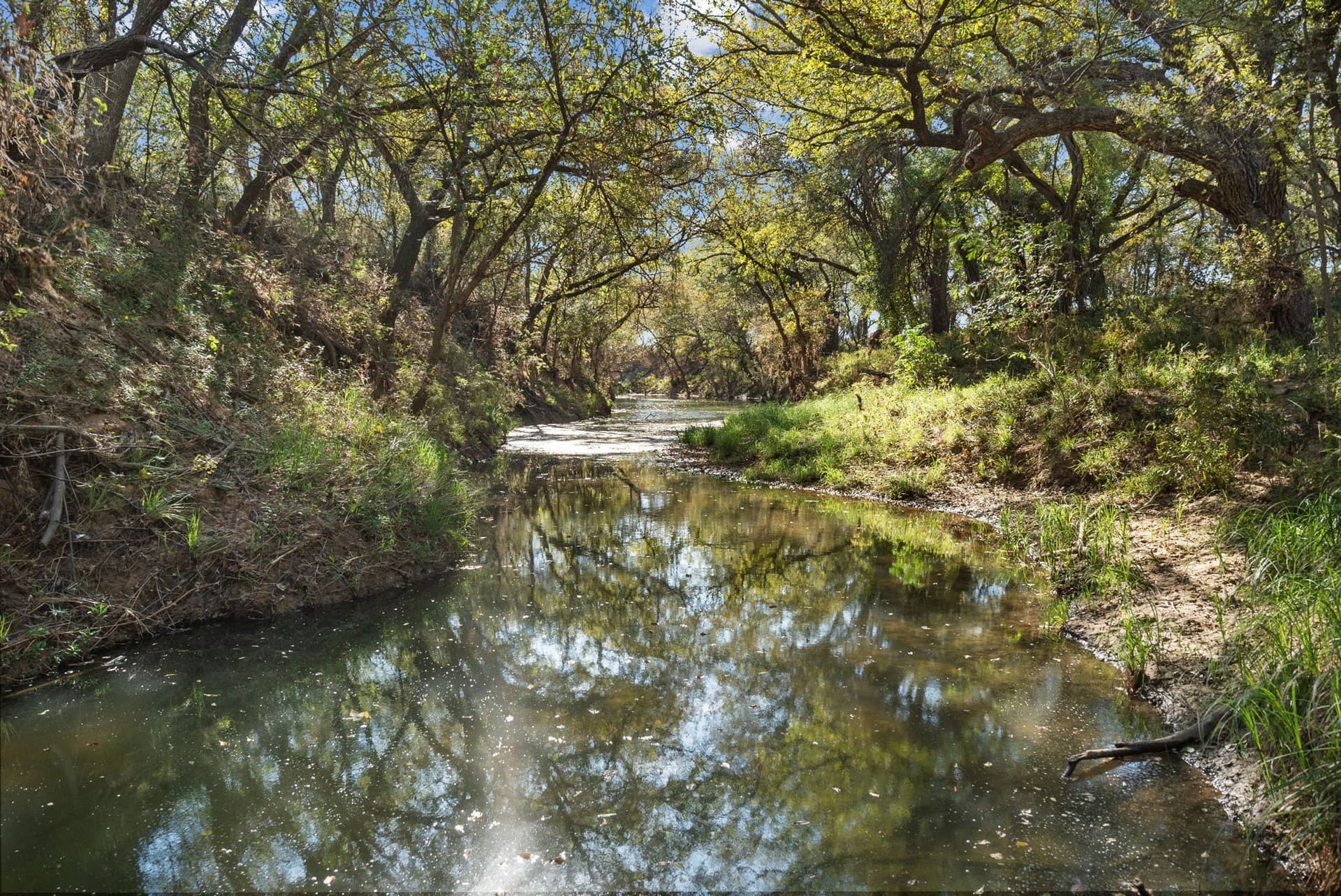 56.48 acres in Coleman County
