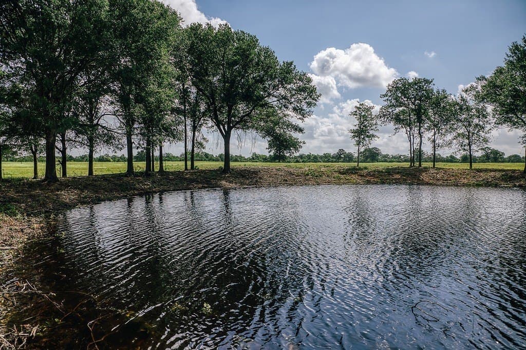 TBD Farm To Market 39