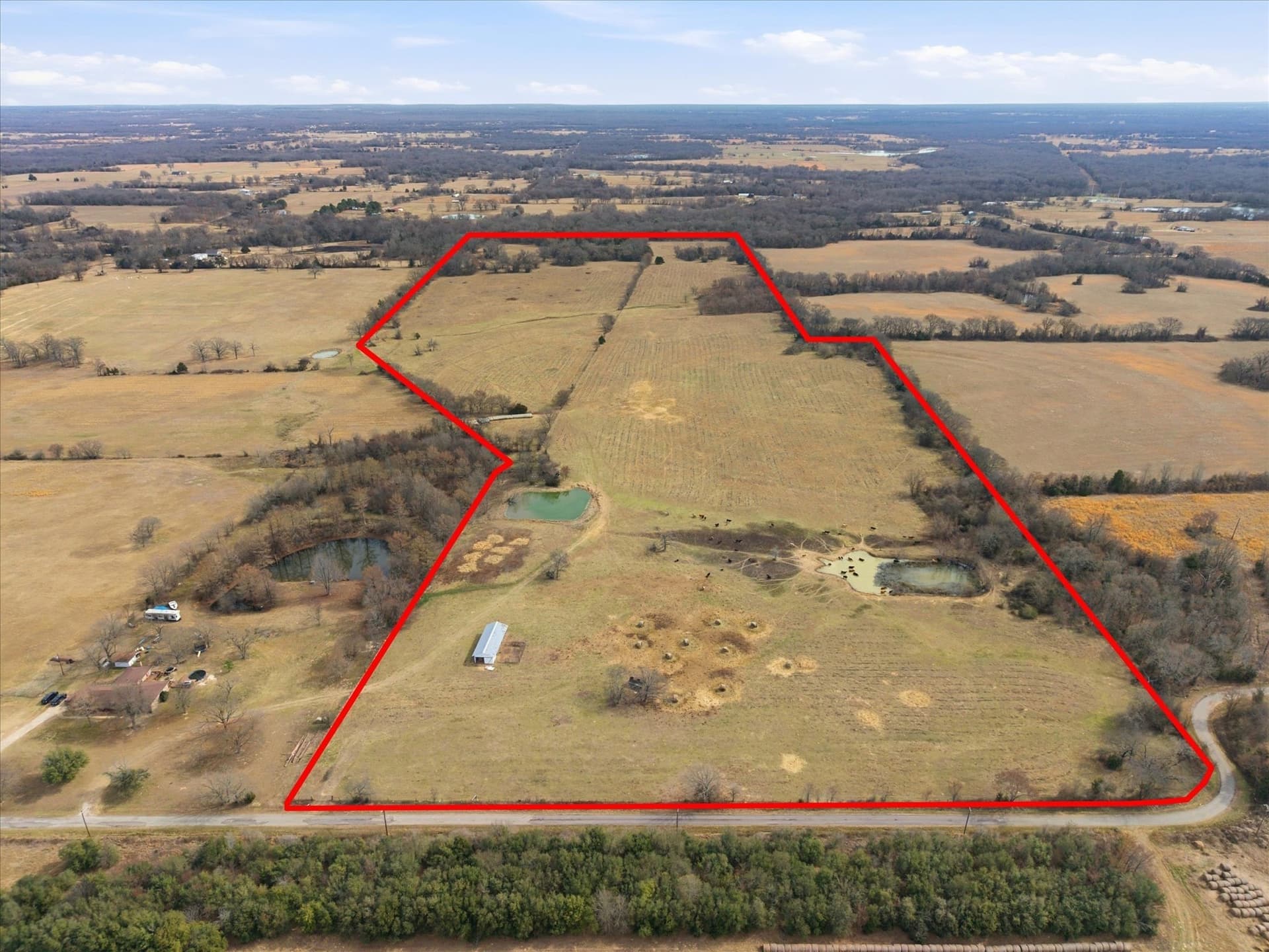 81.88 acres in Rains County