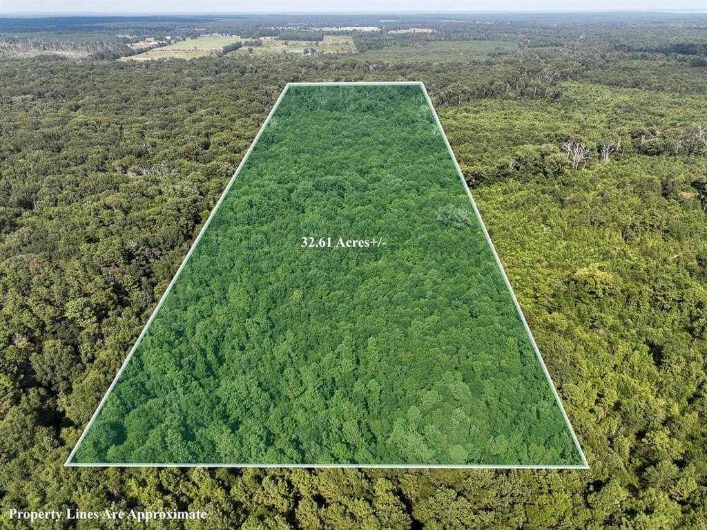 32.61 acres in Shelby County
