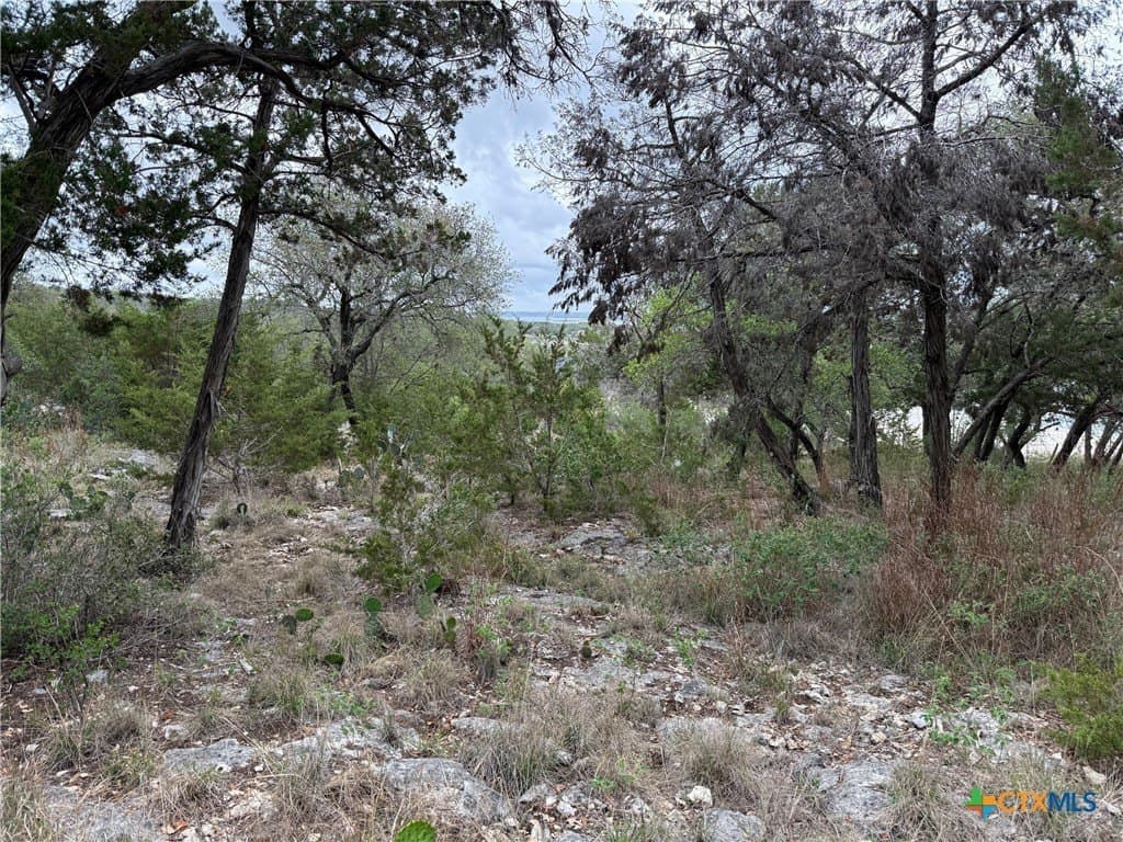 4.29 acres in Comal County