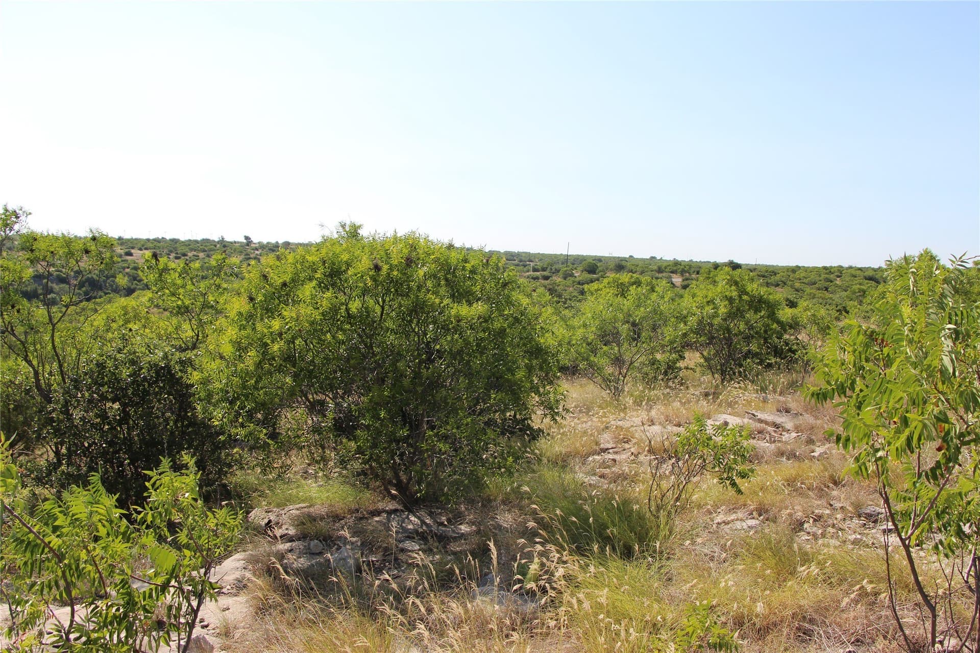 0.1 acres in Palo Pinto County