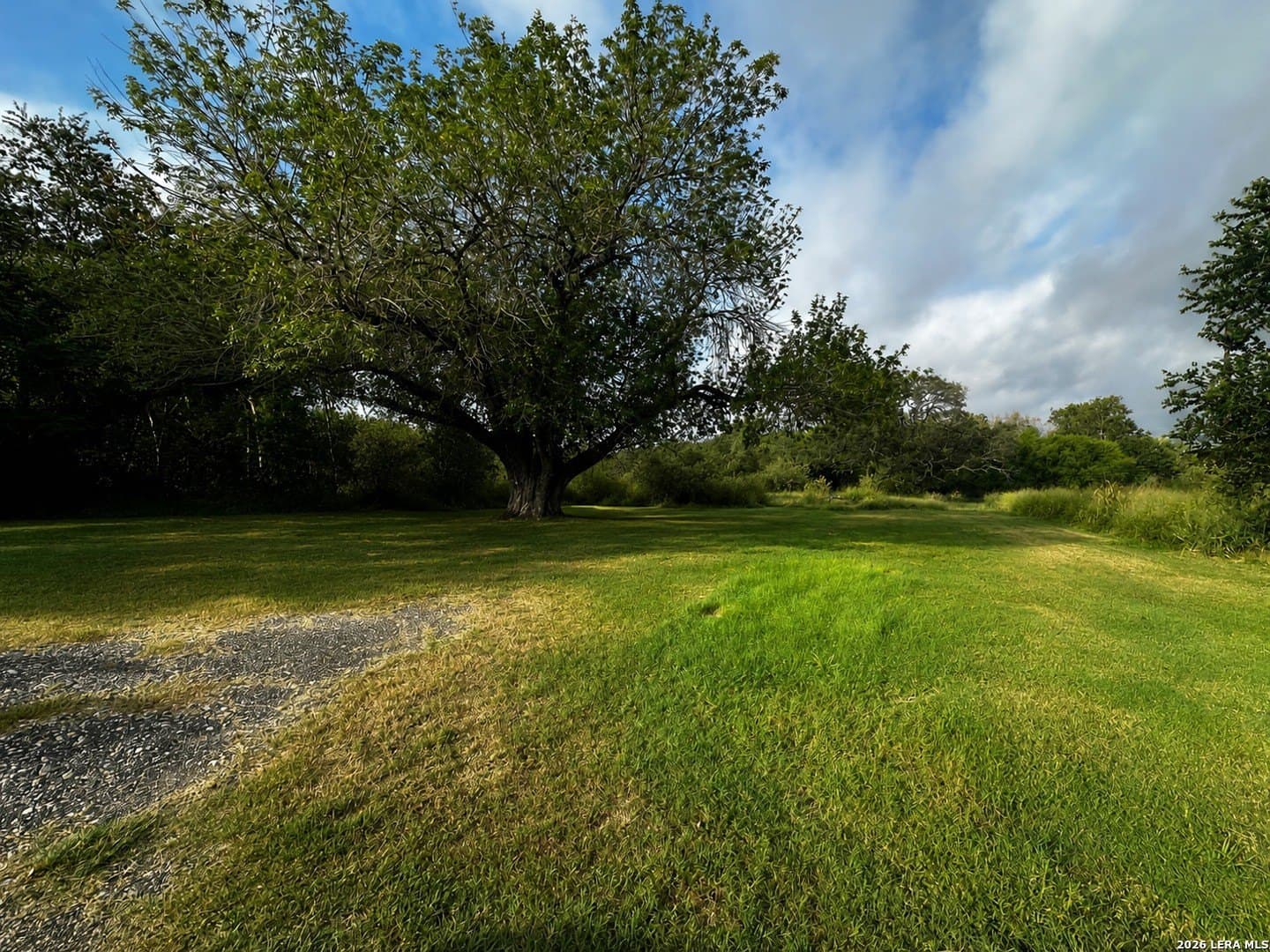 0.25 acres in Wilson County