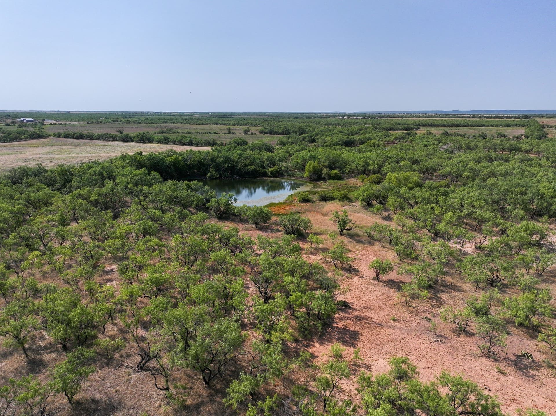 54.55 acres in Taylor County