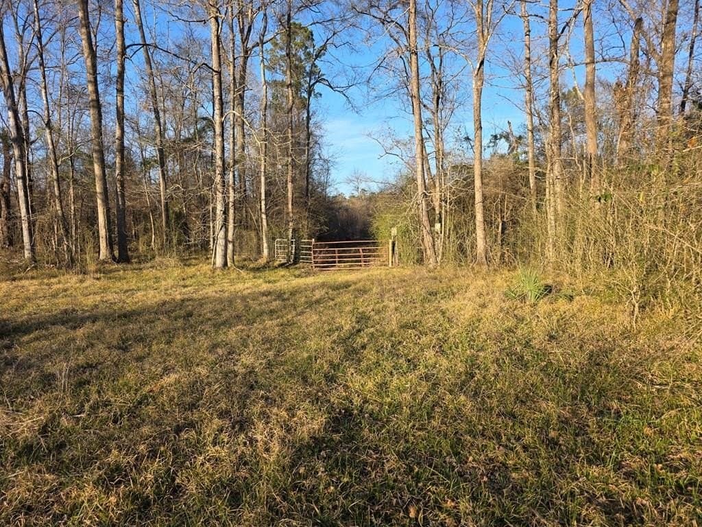 39.09 acres in Texas County