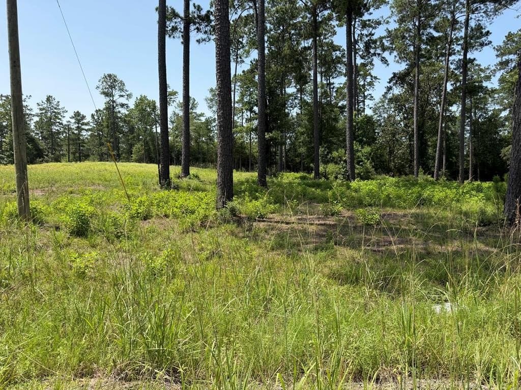 1 acres in Texas County