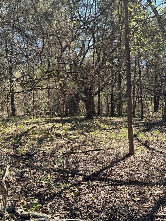 31 acres in Smith County