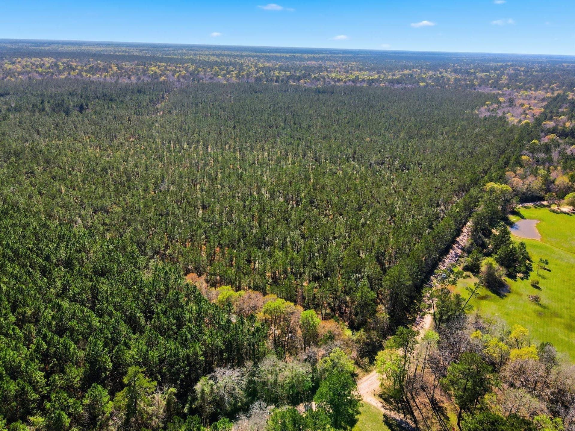 231.96 acres in Texas County
