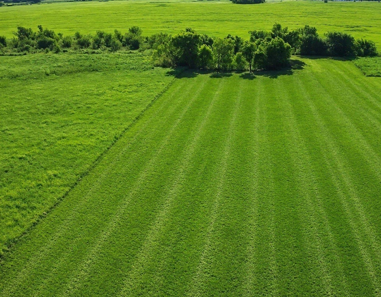 4 acres in Delta County