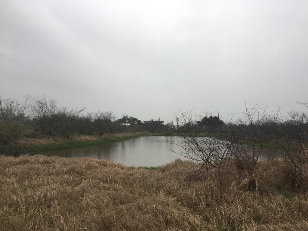 20 acres in Texas County