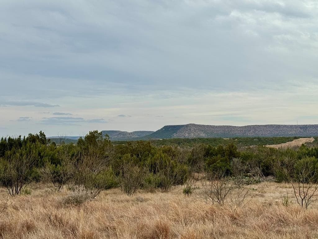 43.37 acres in Coke County