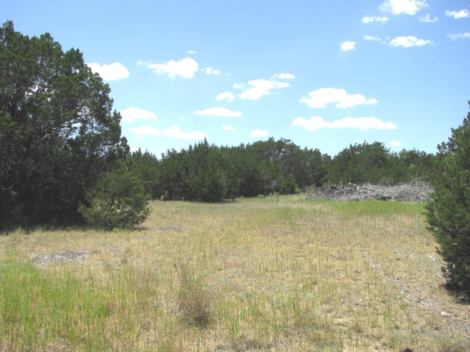 20 acres in Hamilton County
